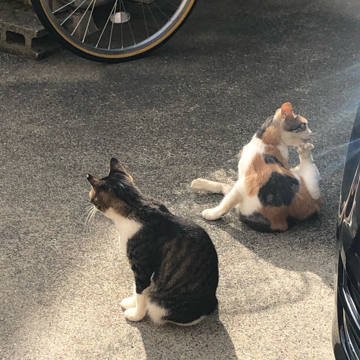 Cd10a438 886e 4435 afb5 13e88b5c1ac8 1568467097392