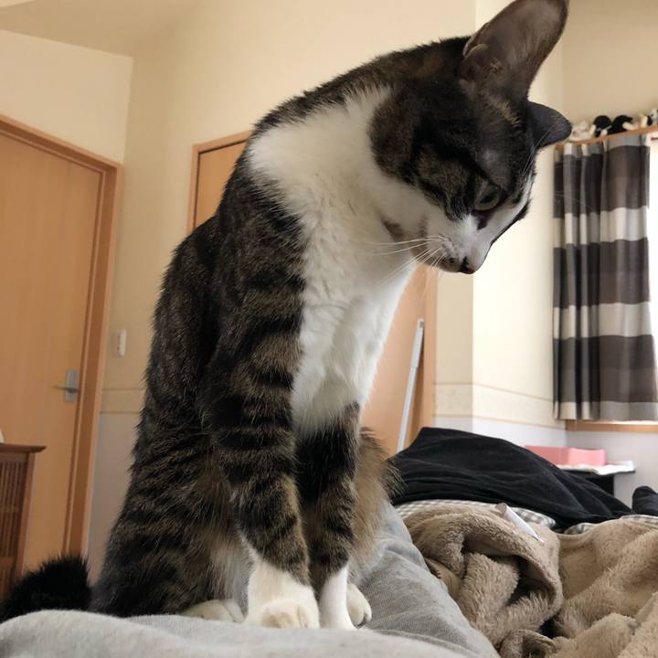 Cd10c396 fc47 435c b20b ac26d80b4057 1517634073564