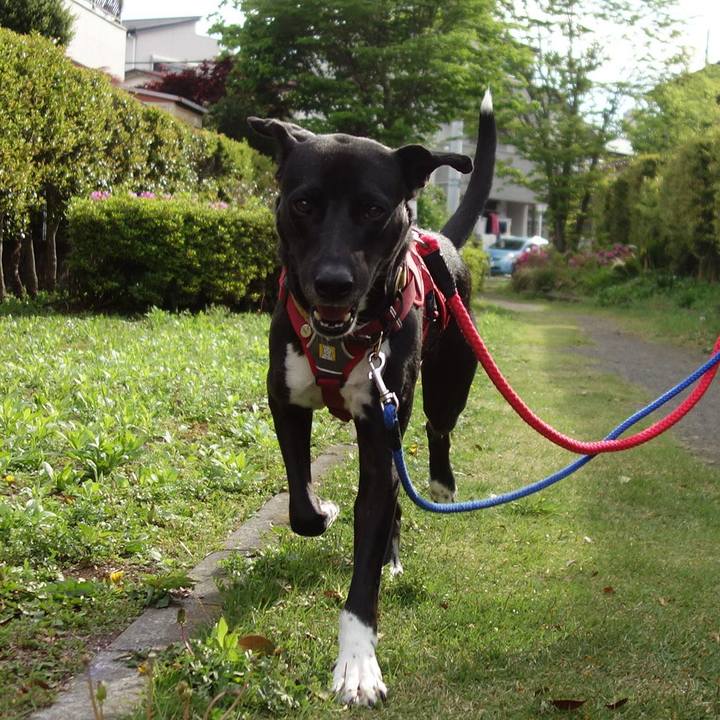 Cd10c8a2 c2c3 4823 aec3 9eb85c47c551 1588901151002