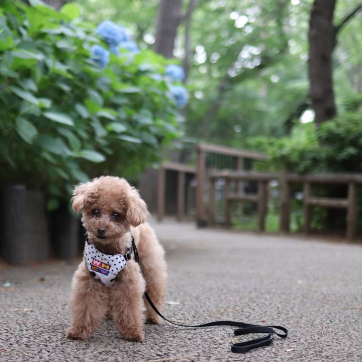 Cd10c9c3 343c 45d7 8cc0 625eba310c75 1591882748042