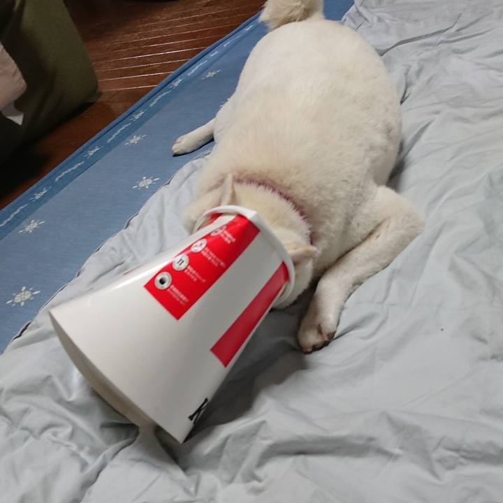 Cd10d65b f172 49c6 8aaf 5335681f9904 1596280174357