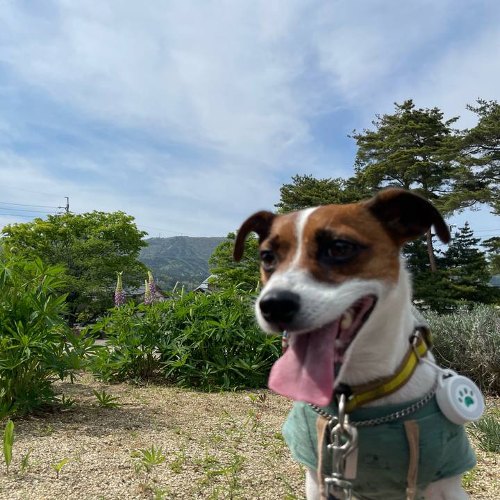 Cd10eaf5 c854 44db 8298 66994f16ff02 1651930782647