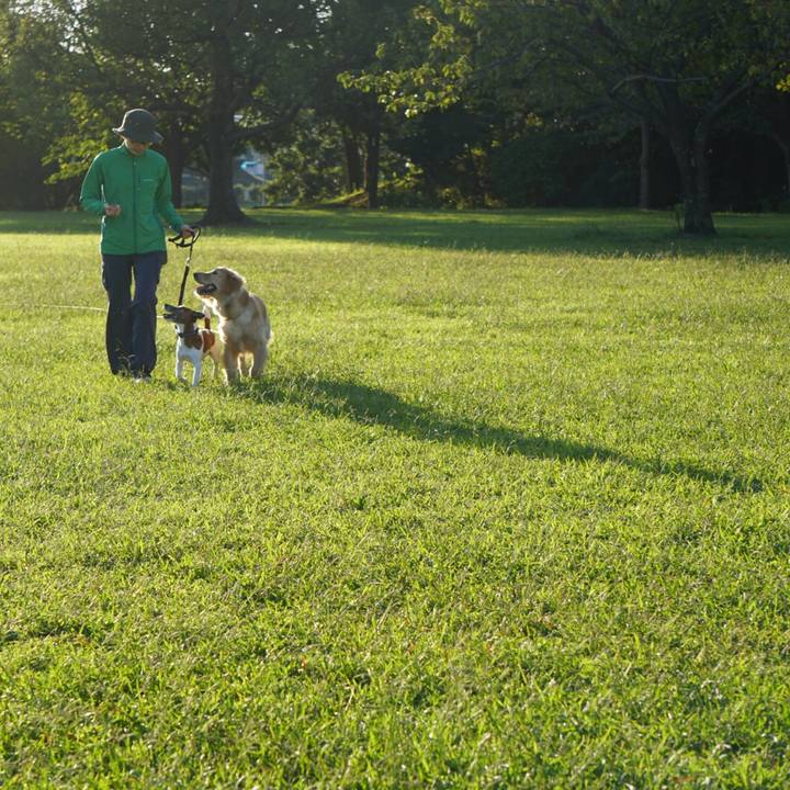 Cd11317f 40f0 4c5e a02c 3a60d16baebc 1601592176828