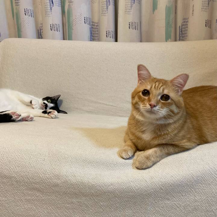 Cd113cb6 6e50 42a5 8c42 4eaa59ba96ea 1757339320809