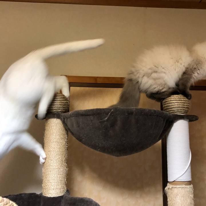 Cd11765a f47d 4c67 bd1b 516cf59d5032 1635516570091