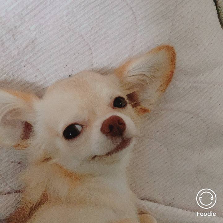 Cd118d5b 06bb 453d bf1c beea2707345f 1600636445223