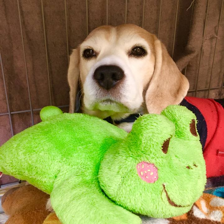 Cd1198ef 1a2e 4506 8a98 8b249fa55ae2 1577773217514