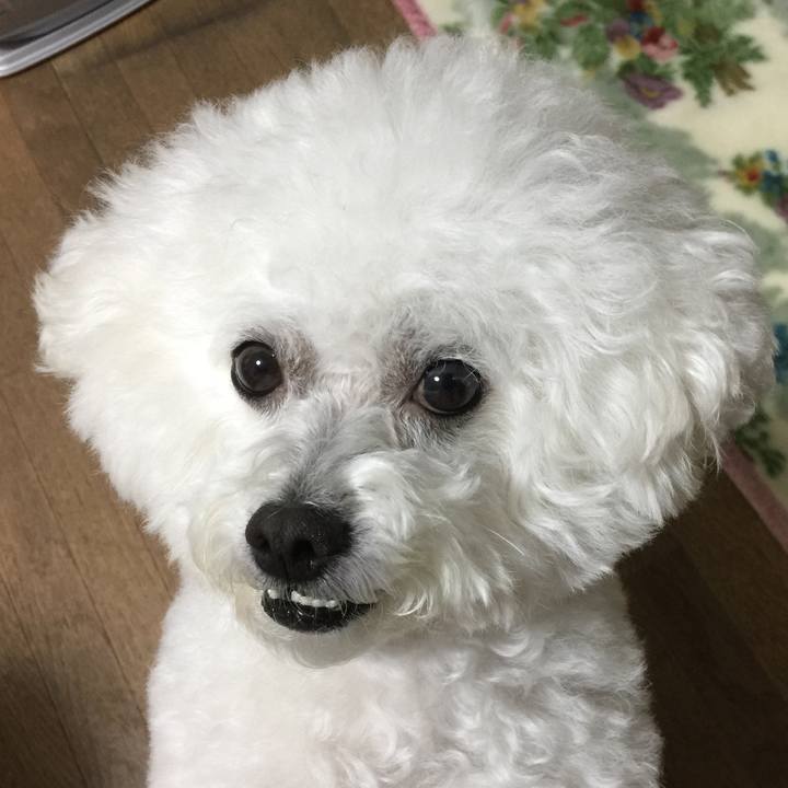 Cd11f6b6 6d92 4a22 93c2 370f809c2e20 1548159861546