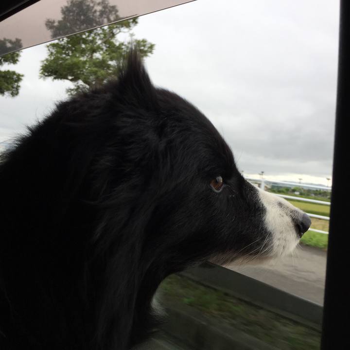 Cd121225 1dec 4c74 834c f1eb09e69b33 1556665035438