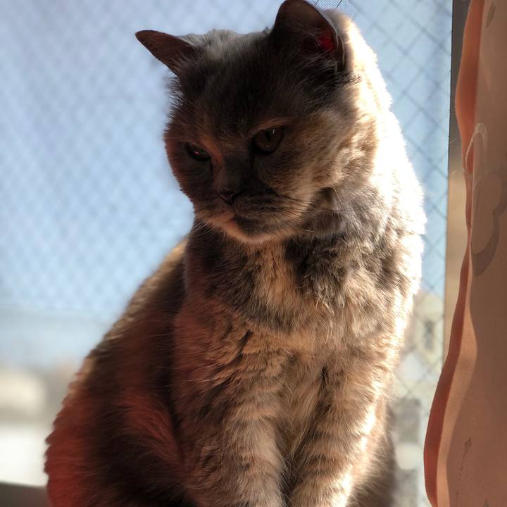 Cd121fc1 686d 4159 9194 a33693067932 1775497291290