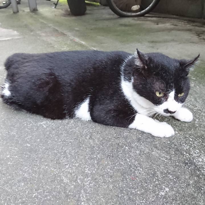 Cd128b32 d513 4823 a030 dce6e5156fce 1599555030871