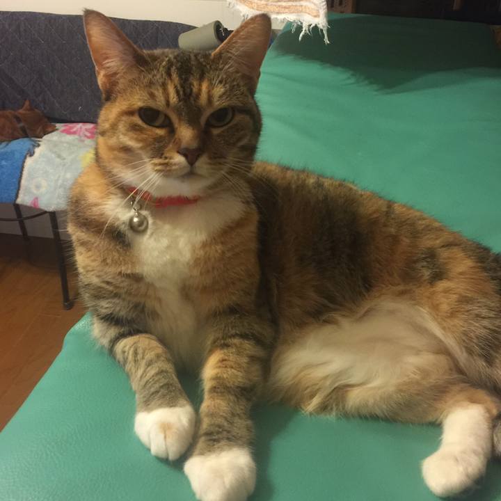 Cd12b562 6fdf 4984 9d21 5a084134ed08 1558440010397