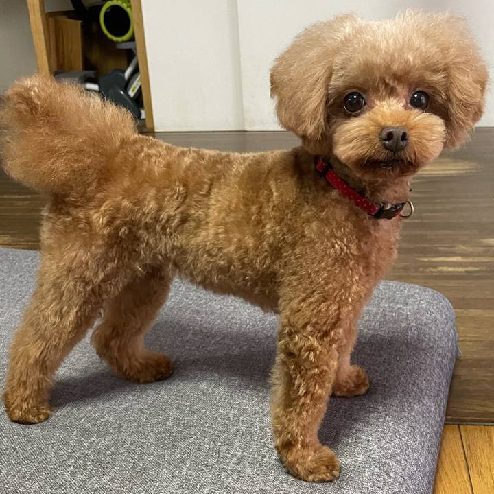 Cd12c77a 8e42 4dbf bd2d 9d027ac473f0 1664601666991