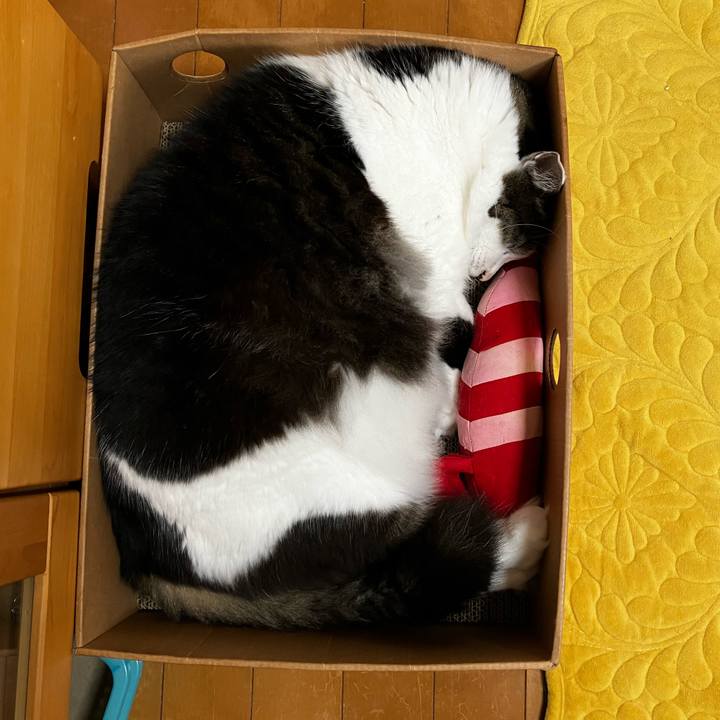 Cd12d057 9f93 4cf9 bd3d 42978808dca5 1735617643590