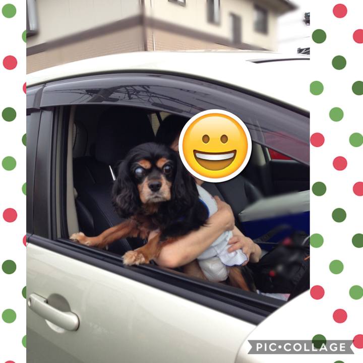 Cd1341ea adb7 47b4 aeaf 1a53c2c01b4b 1544356500371