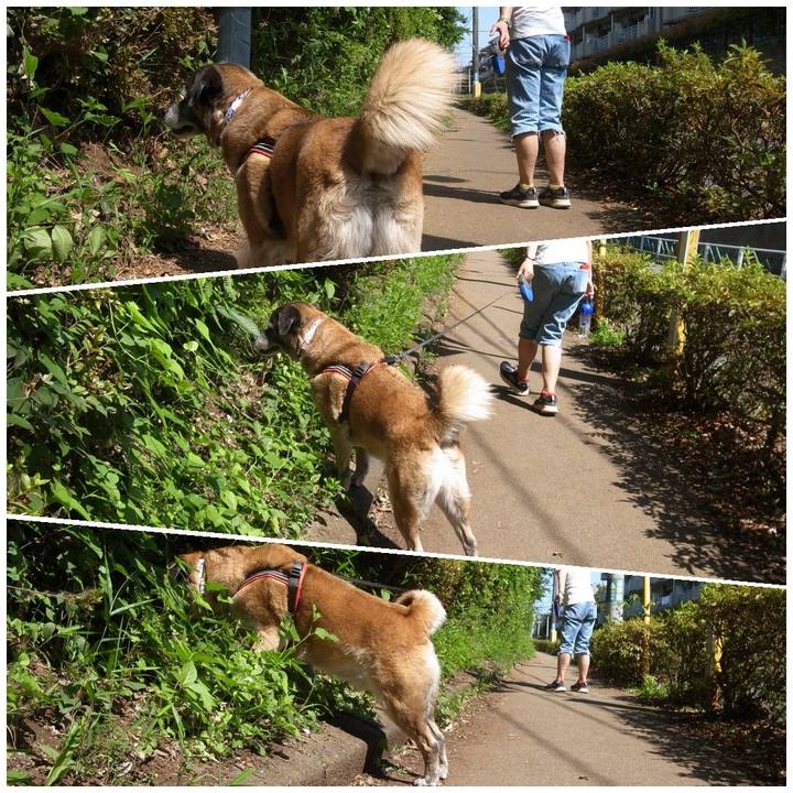 Cd137188 2318 433e 972e 6adcb0636c6d 1609115858136