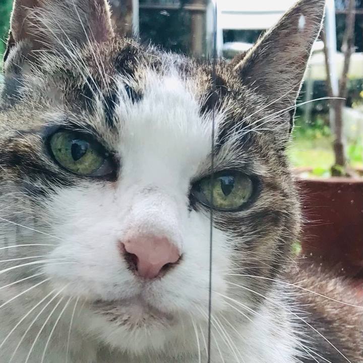 Cd138bab 99e4 49d6 a73c d7bd3b616dfa 1616902630693