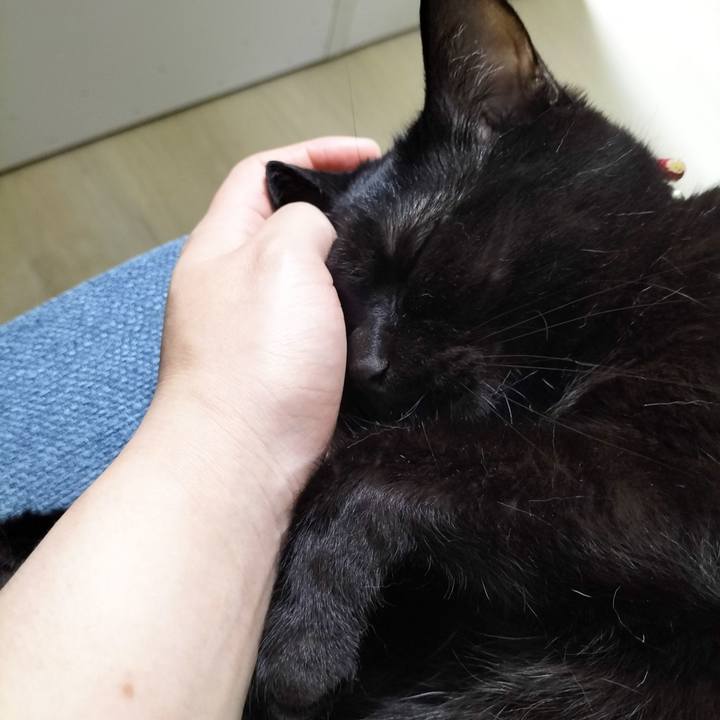 Cd139bf7 0122 4b5c b9e8 683fd4204a2a 1685704787694