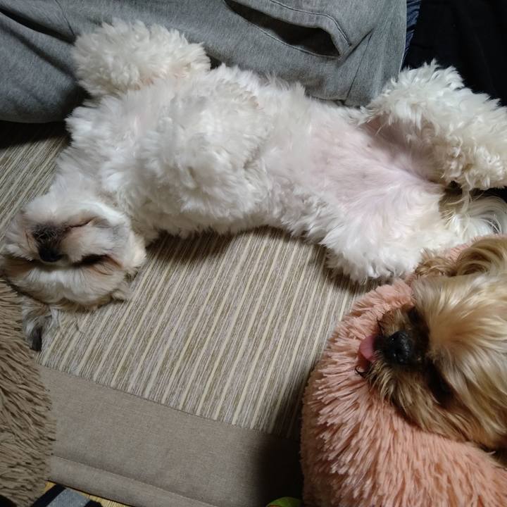 Cd13a91d 1d97 457b 86c2 fc63f2c5e722 1617110134358