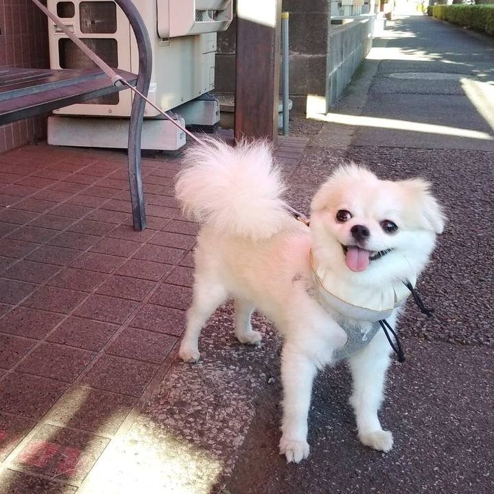 Cd13c268 5bed 4bb4 abcc 7c67fad7343f 1726489472379