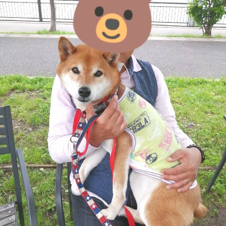 Cd13ca4d 1c5f 455e a4bb d7dd8127e9d0 1652699942438