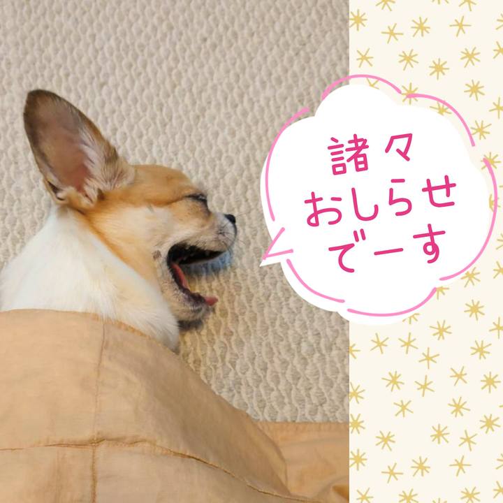 Cd13f27f b7b3 4c1b b3eb 74e30b2e6580 1747822816798