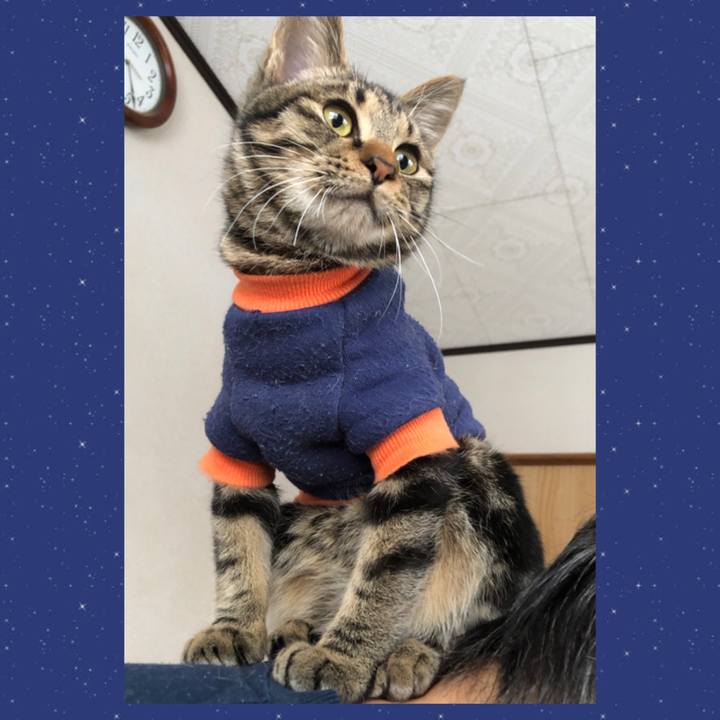 Cd143fa2 ad8d 430d bf87 80bcf4364a2c 1735428614032