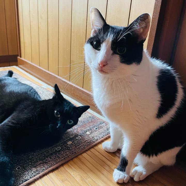 Cd144d3e d27a 4f3a 8850 cc88e29d3281 1630810046939