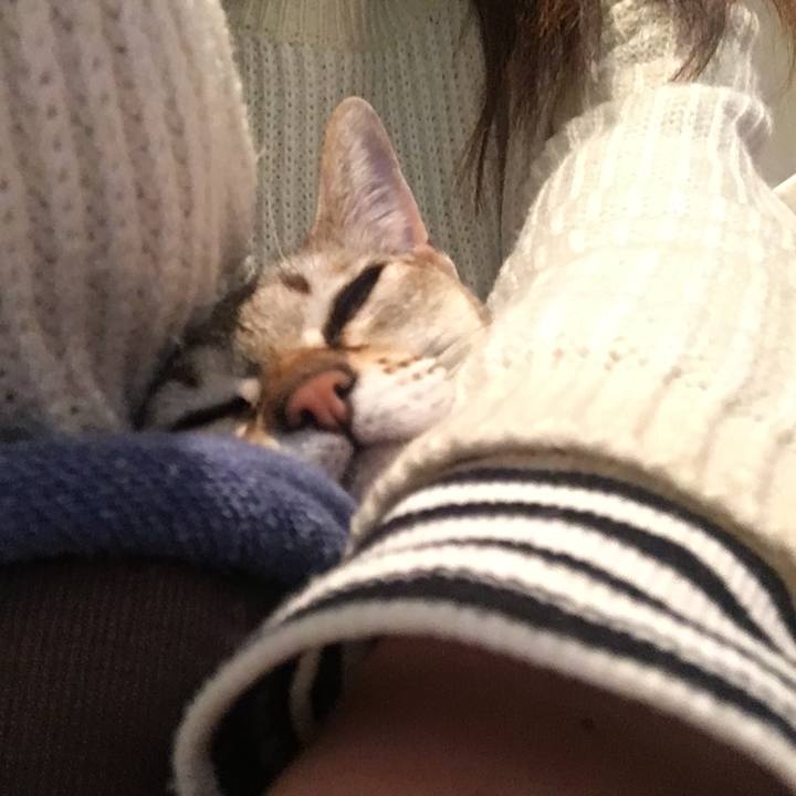 Cd145005 762f 460d 83b4 ba6e87b8ed65 1515240340261