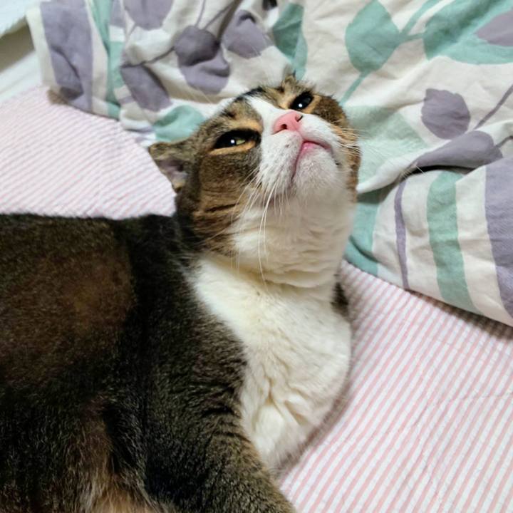 Cd1465e4 f670 440c b182 a7d5c01f31db 1720622014047