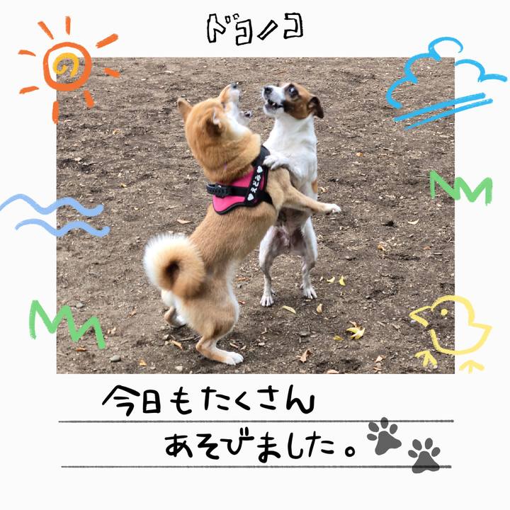 Cd14983a 1b08 442e 92b1 ea0dbd77f86f 1755172180073