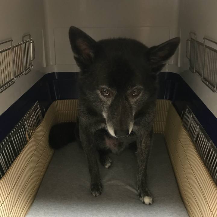 Cd14a16b 762e 48d7 a907 ce3827c8854b 1509099127110