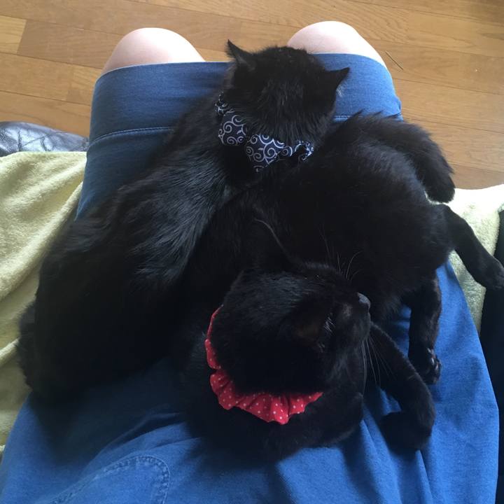 Cd14bba2 870b 42c7 914e d8e1b10955a3 1537073175982