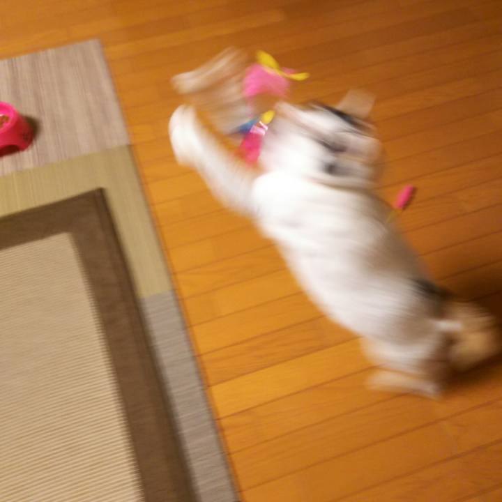 Cd14bd06 63e1 4ce7 bad2 9585a721693e 1562407167694