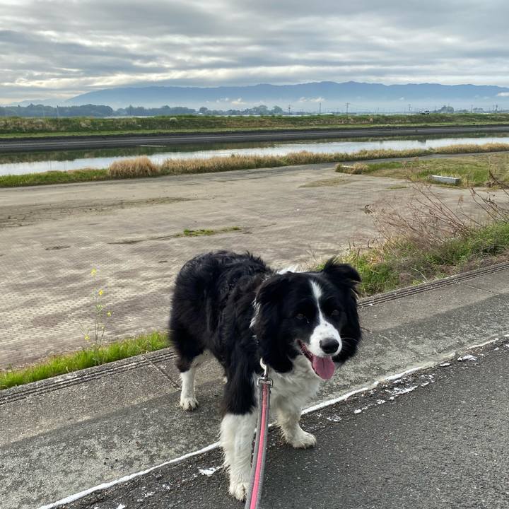 Cd153065 323c 4c37 a717 7bf8e86fc83e 1649725574451