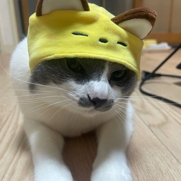 Cd155186 3704 4a45 8f31 d85717dffaa9 1625908965969