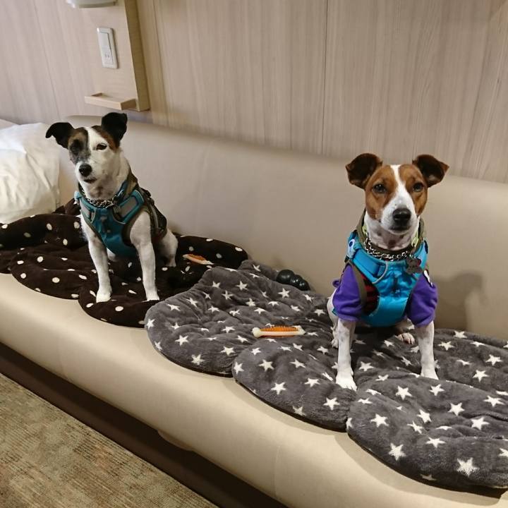 Cd156809 fb53 41d4 97da 68935580dad8 1606342565069