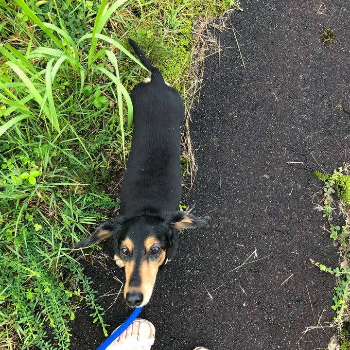 Cd1570e8 aeba 4126 b2b2 e7b37ef8e976 1534370840908