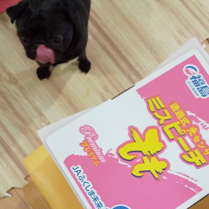 Cd1574cd 86e8 4068 9e8f 9c42531e0ba0 1597399937045