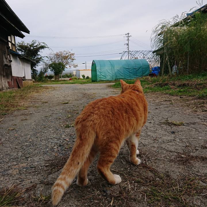 Cd1581a5 d3ac 406e a909 455d3ac4da4c 1603001439270