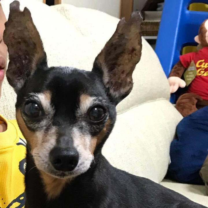 Cd158448 cbe6 45e1 b5e3 cdc69edcf887 1568594975186