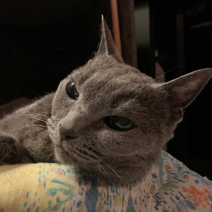 Cd15d7a5 02d8 42bc 9808 94ed0d00bf45 1662296087676