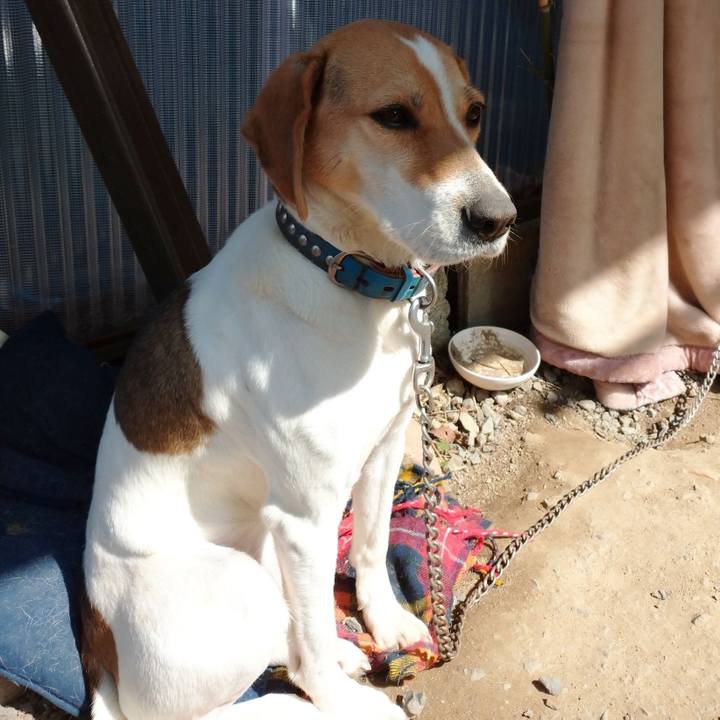 Cd164272 233f 4246 b142 815bf4fdcdb7 1615786729991