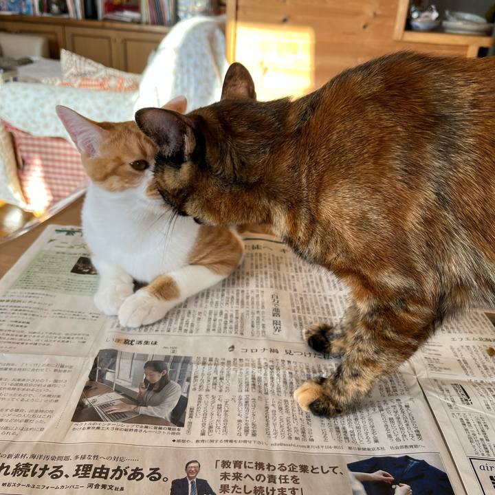 Cd165032 89b7 4081 ae45 50d464ce09fd 1673918030983