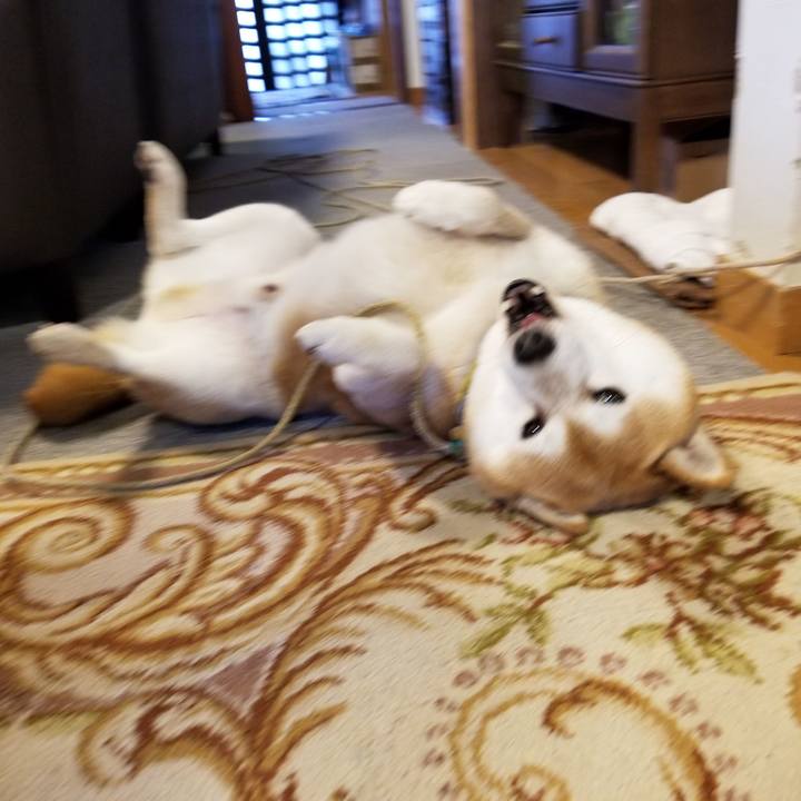 Cd1683d0 422d 470e be6d 4b3573c8c789 1573952125079