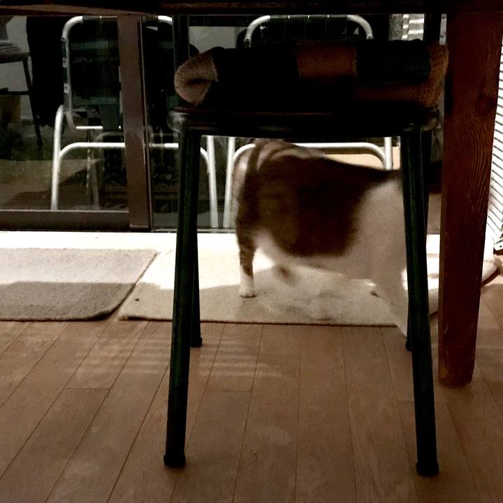 Cd16853f 740b 43ad a12f 6296d78bd011 1555592802267