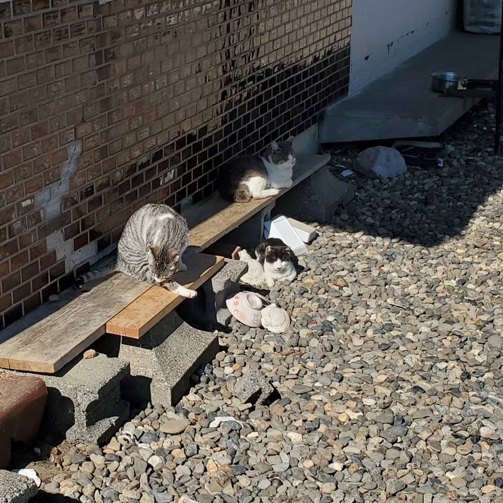 Cd16ae1d 3c2d 41f1 ac9c 8e384ff7468f 1717328436203