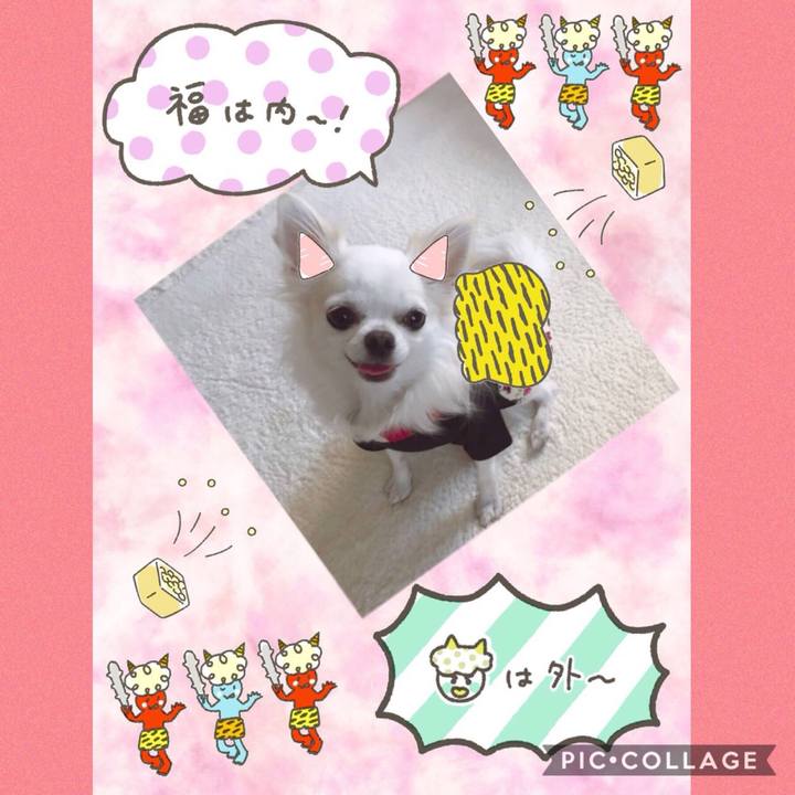 Cd16b23a 6508 4d7d bce1 d5e3ef54b381 1549236860074