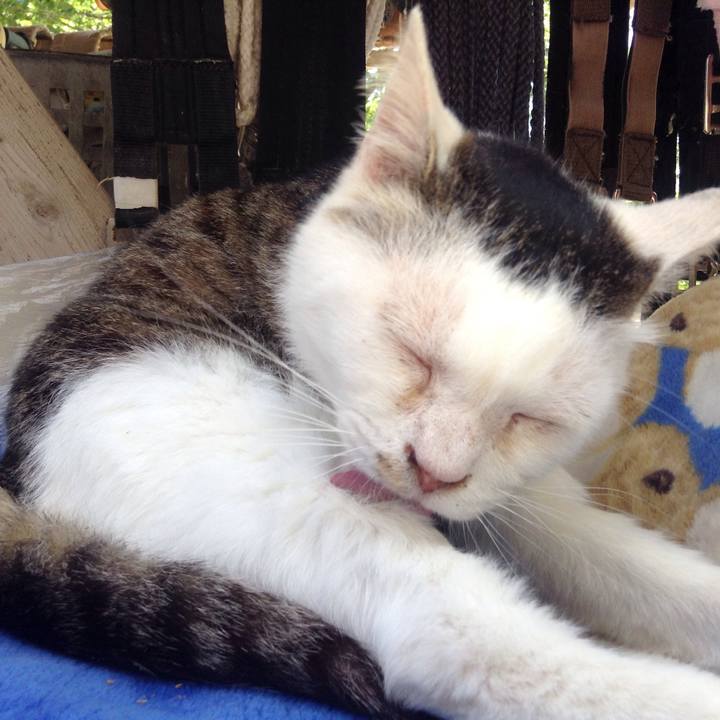 Cd16bb63 1f52 48cf 8abd bffc3e2686c1 1527261024361