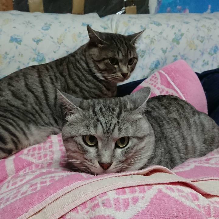 Cd16e35c 89e8 4d47 8288 caf3e229f0d1 1575537685859